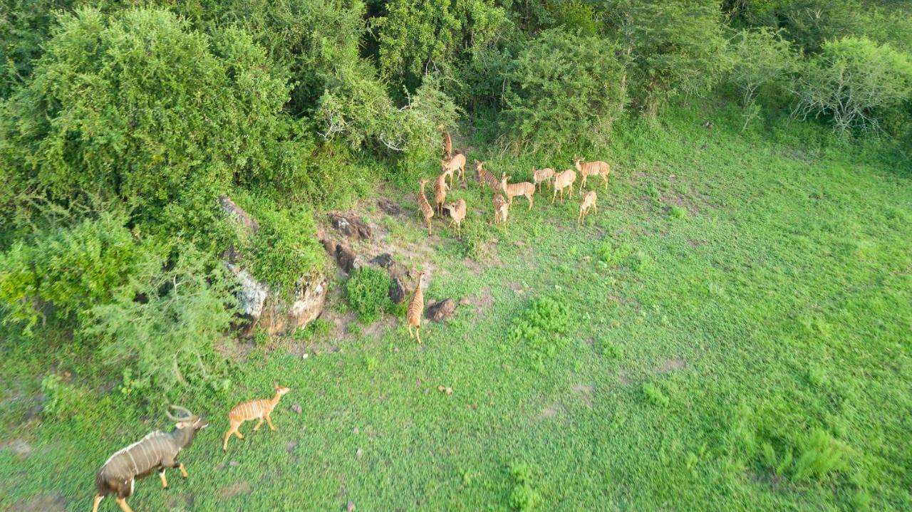 Zululand Lodge Hluhluwe Exterior foto